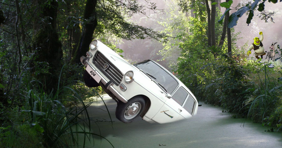 Tout au long de la journée le marais poitevin révèle ses secrets