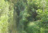 reflet de paysage dans l'eau - fosse du marais