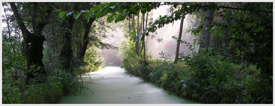 Tout au long de la journée le marais poitevin révèle ses secrets.